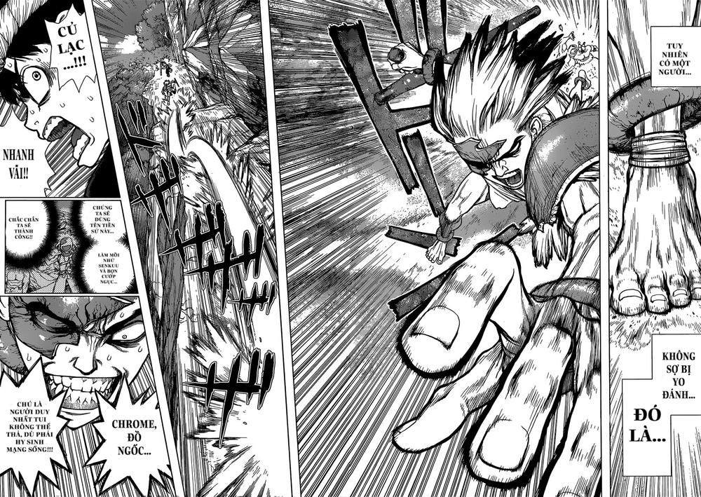 Dr.stone Chapter 72 - 8