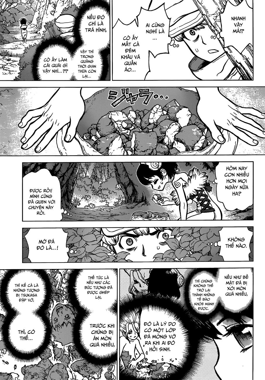 Dr.stone Chapter 73 - 17