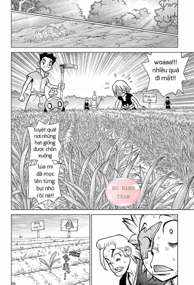 Dr.stone Chapter 91 - 13