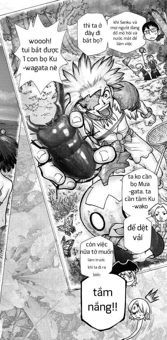 Dr.stone Chapter 99 - 11