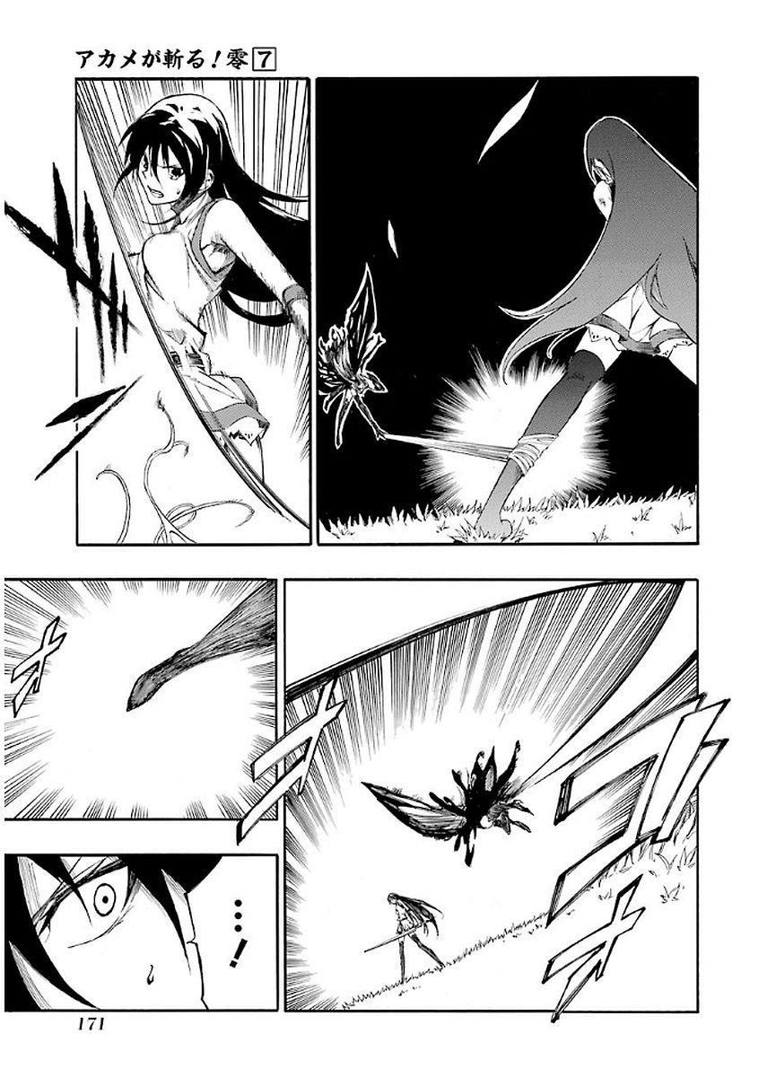 Akame Ga Kill! Zero Chapter 42.5 - 7