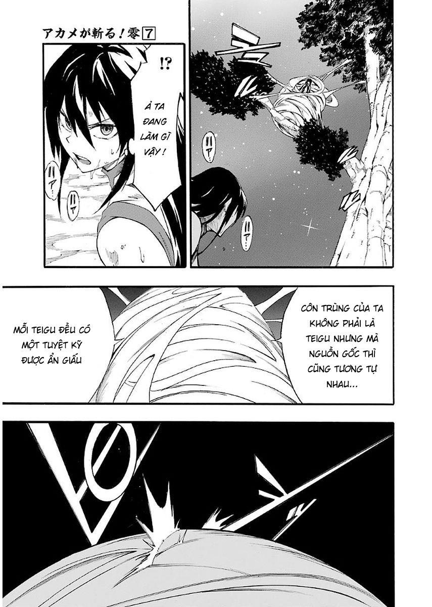 Akame Ga Kill! Zero Chapter 42 - 19