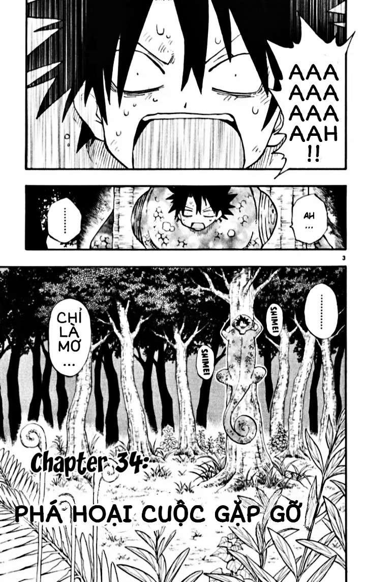 Law Of Ueki Plus Chapter 34 - 5