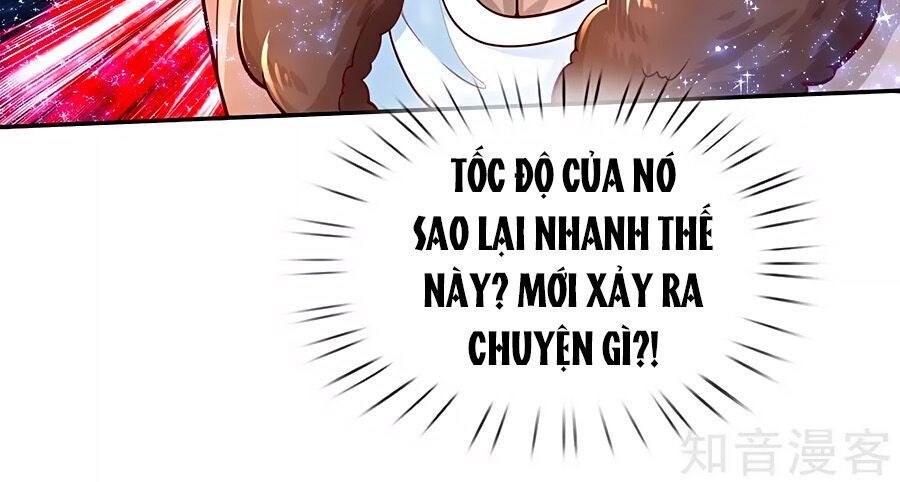 Bỗng Một Ngày Trở Thành Con Gái Nhà Vua Chapter 74 - 6