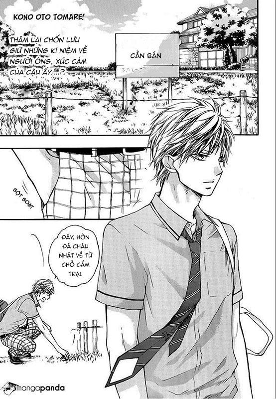 Kono Oto Tomare Chapter 22 - 5