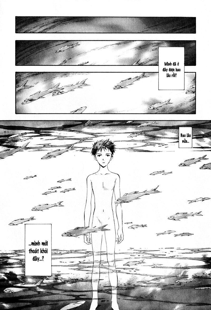 Shin Seiki Evangelion Chapter 50 - 3