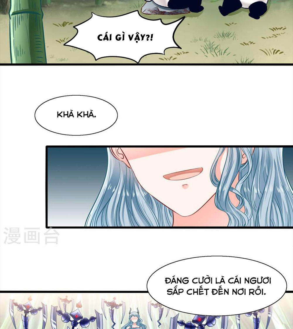 Tôi Bị Gấu Trúc Nhìn Trúng Rồi Chapter 9 - 26