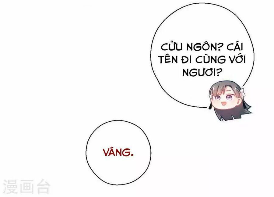 Ta Nấu - Chàng Giết Chapter 37 - 21