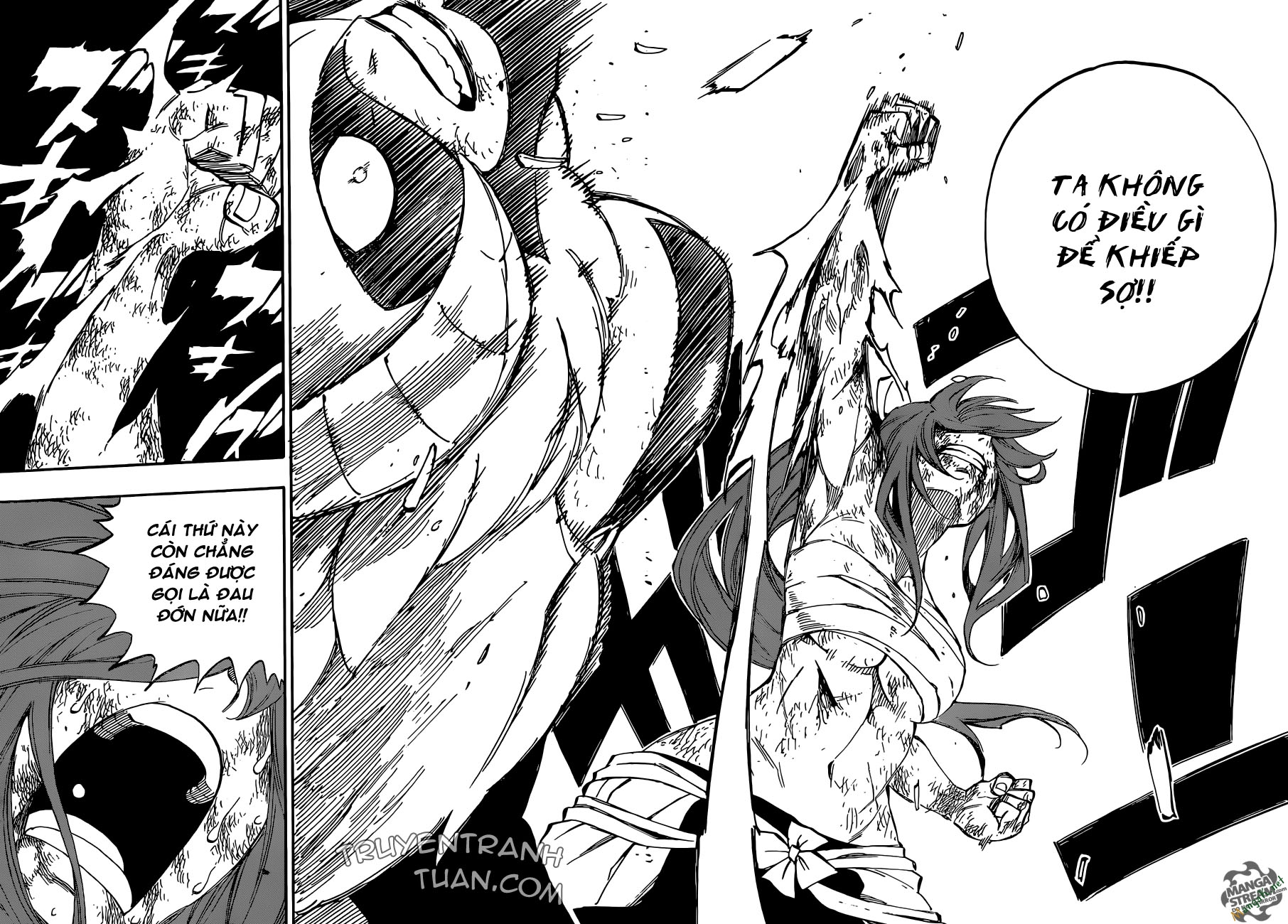 Fairy Tail Chapter 403 - 21