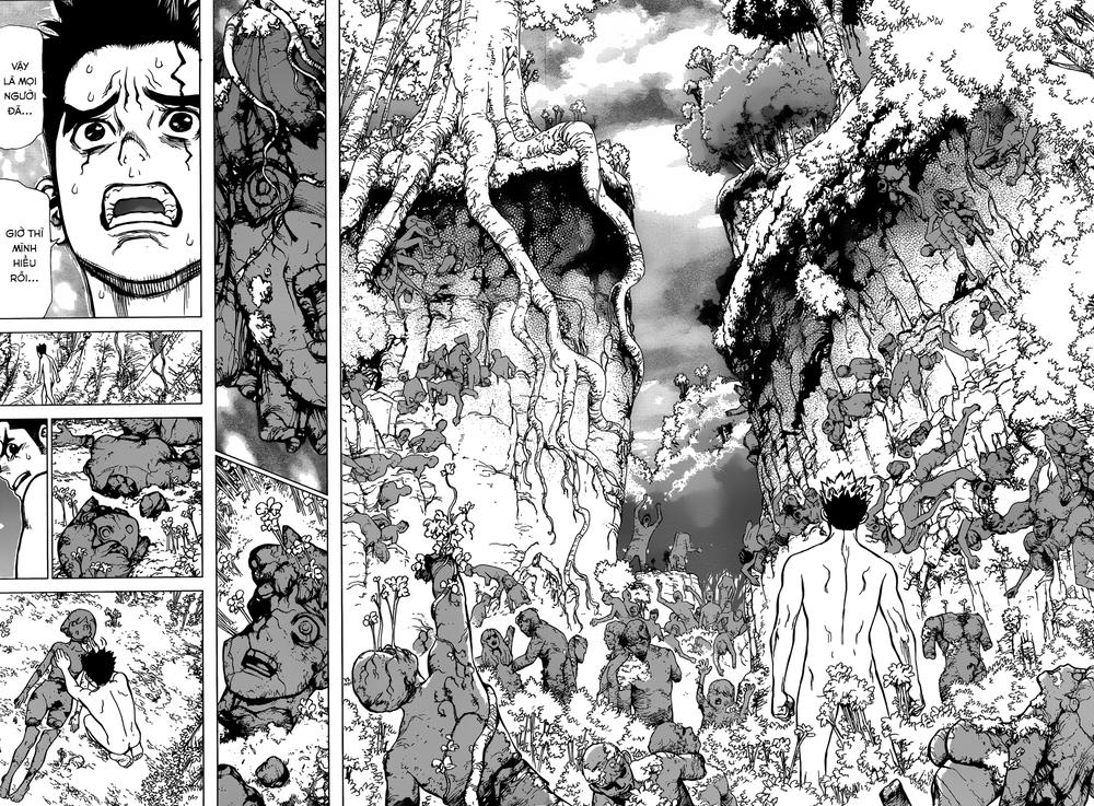 Dr.stone Chapter 1 - 33