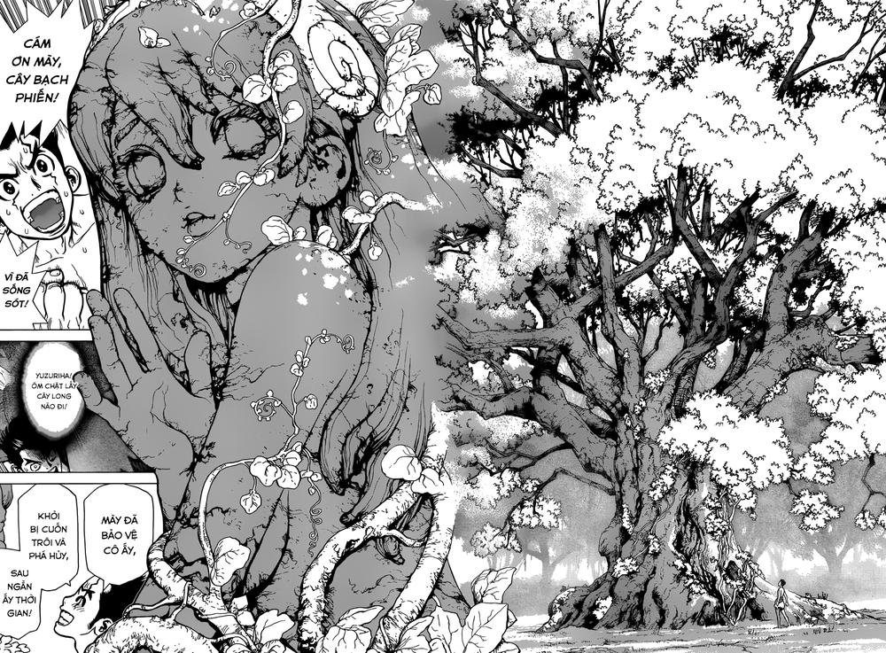 Dr.stone Chapter 1 - 36