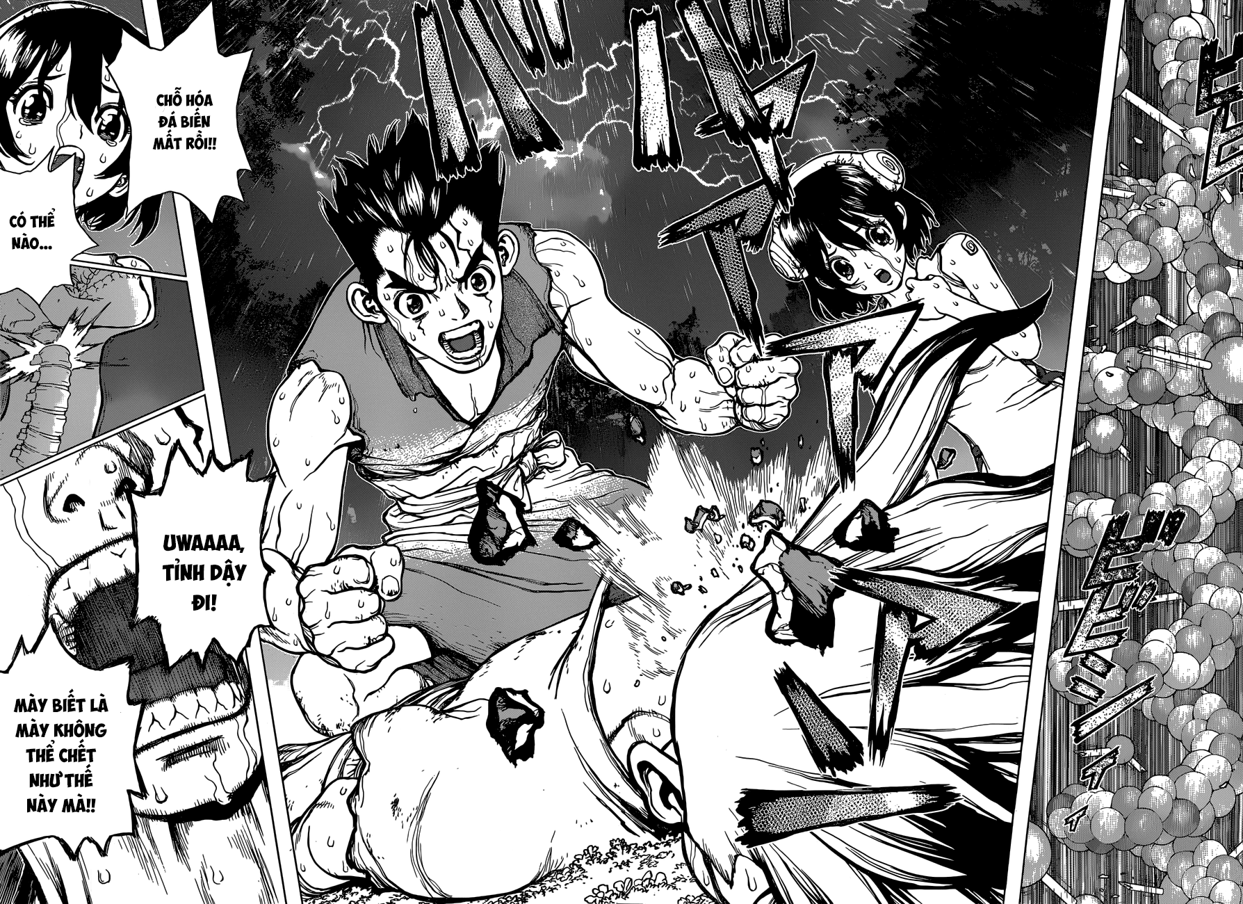 Dr.stone Chapter 12 - 15