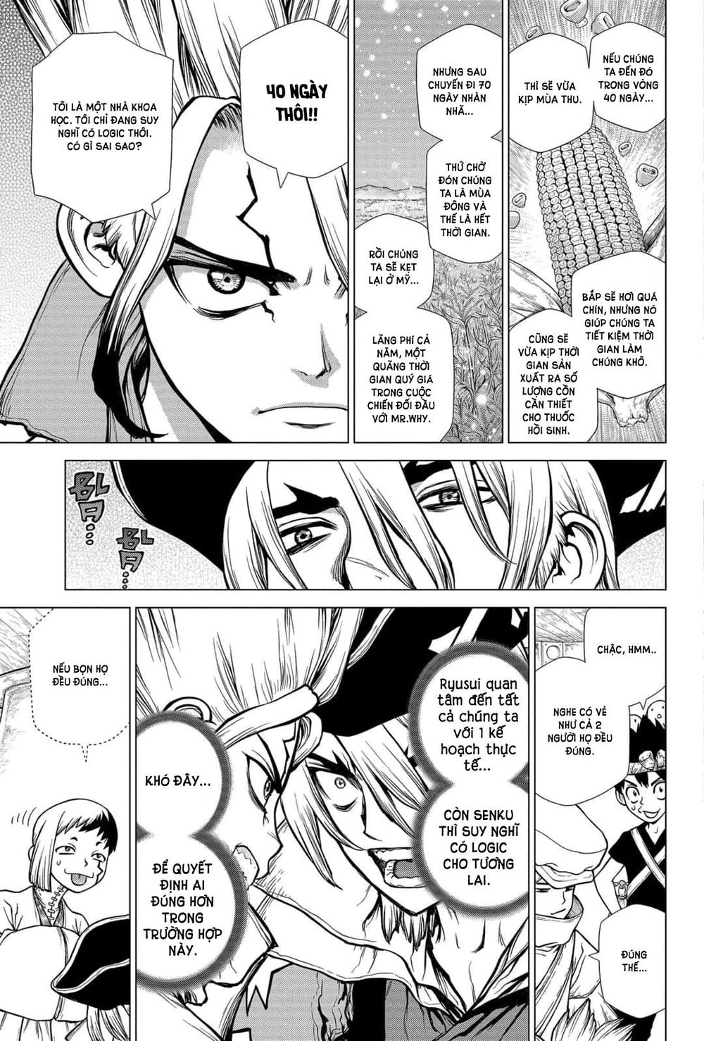 Dr.stone Chapter 143 - 12