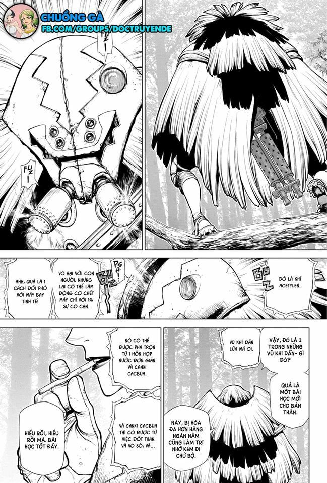 Dr.stone Chapter 150 - 16