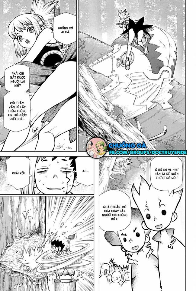 Dr.stone Chapter 150 - 19