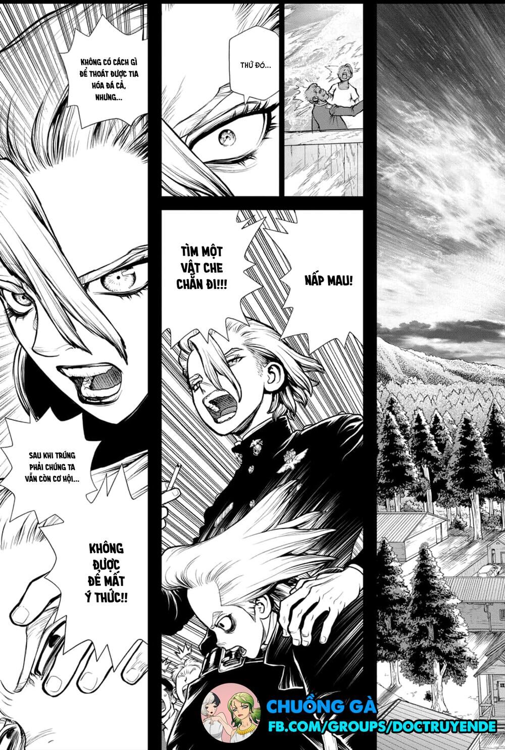 Dr.stone Chapter 157 - 11