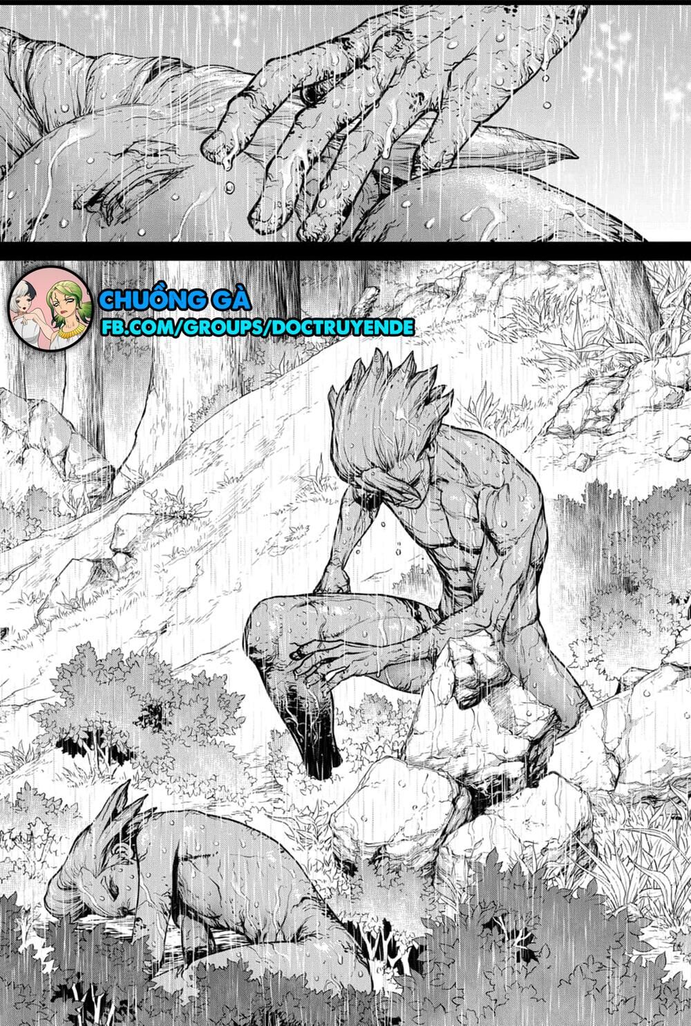 Dr.stone Chapter 157 - 16