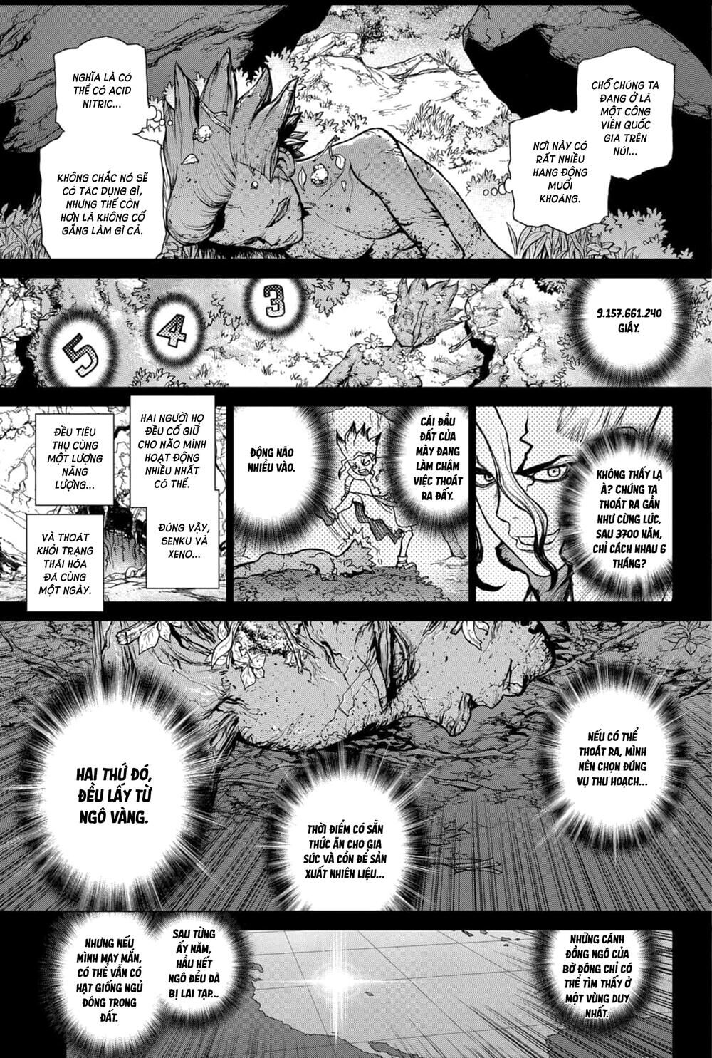 Dr.stone Chapter 157 - 17