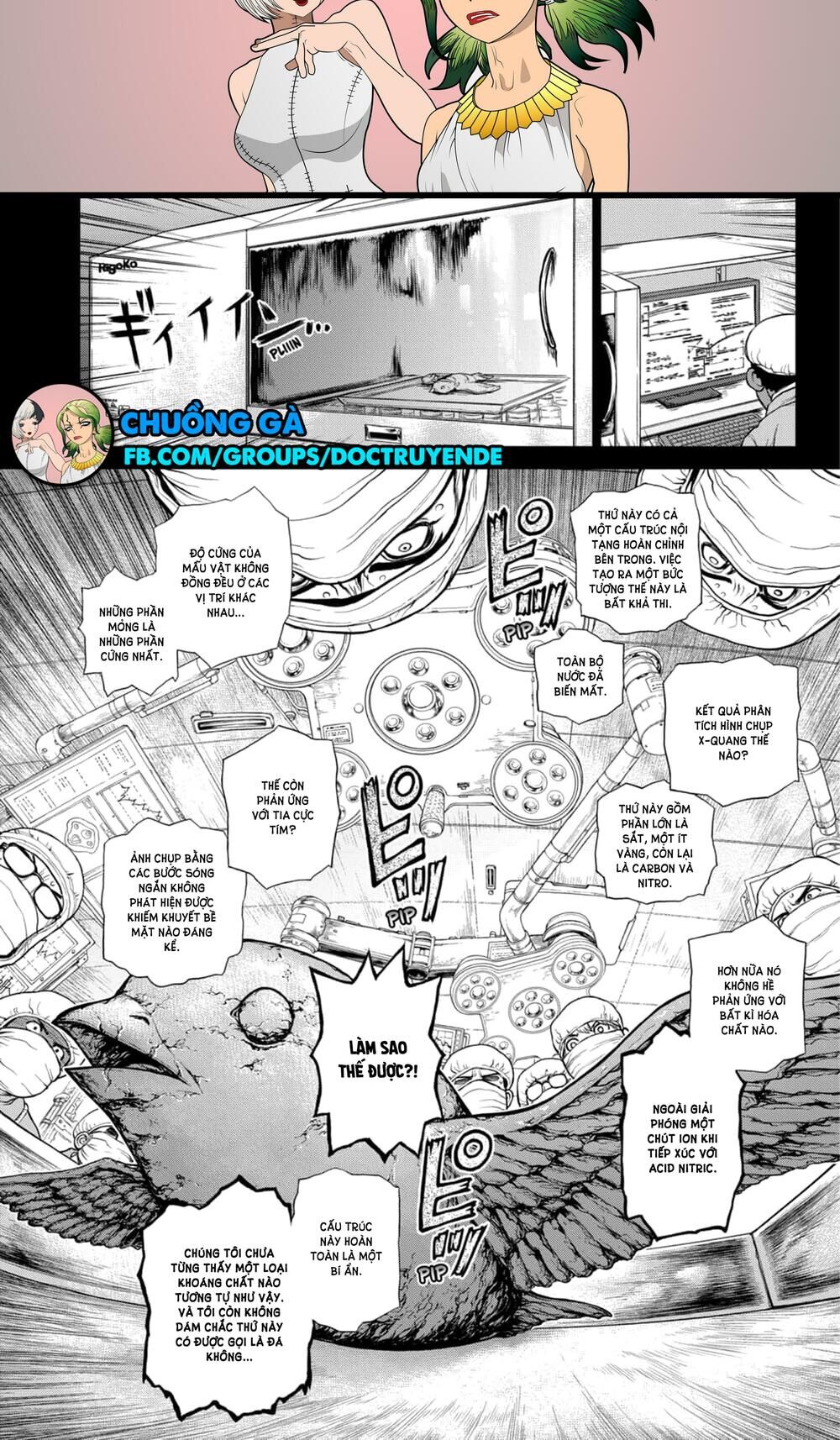 Dr.stone Chapter 157 - 4