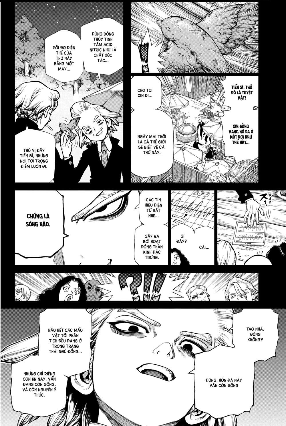 Dr.stone Chapter 157 - 8