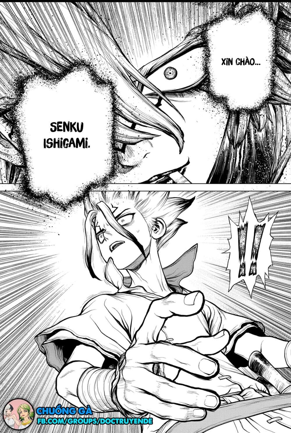 Dr.stone Chapter 159 - 10