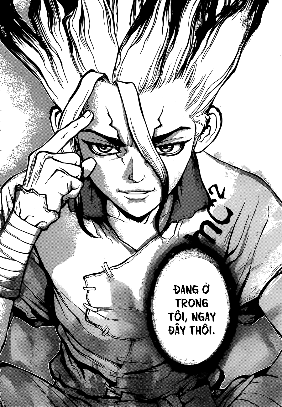 Dr.stone Chapter 19 - 17