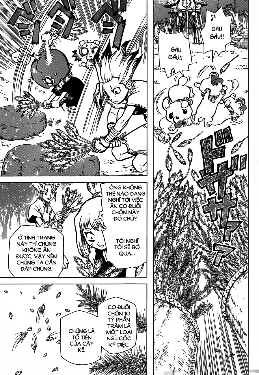 Dr.stone Chapter 22 - 12