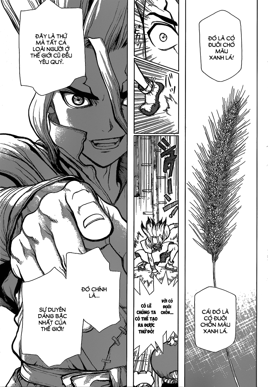 Dr.stone Chapter 22 - 10