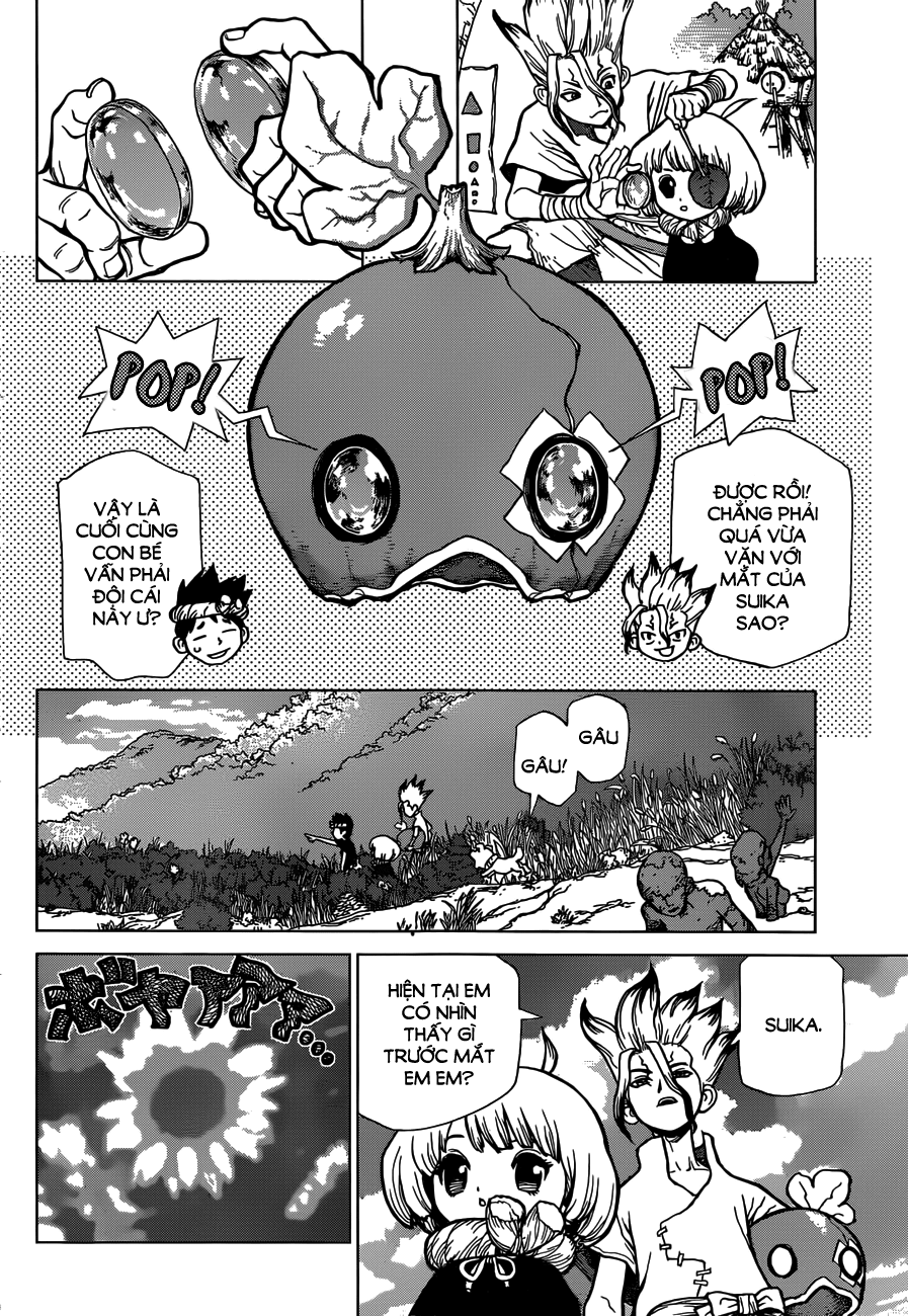 Dr.stone Chapter 28 - 13