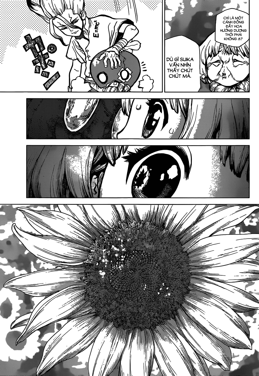 Dr.stone Chapter 28 - 14