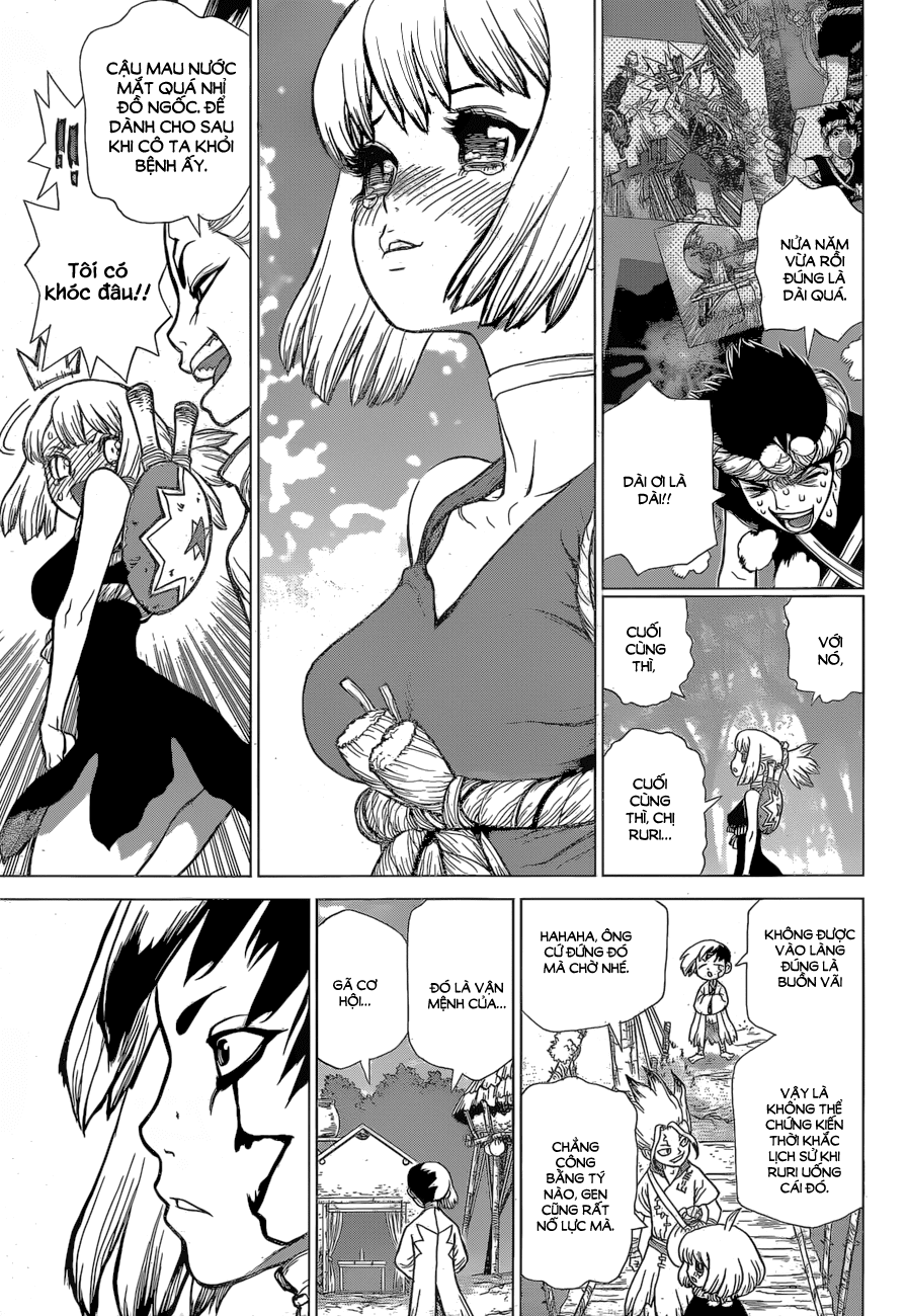 Dr.stone Chapter 40 - 19