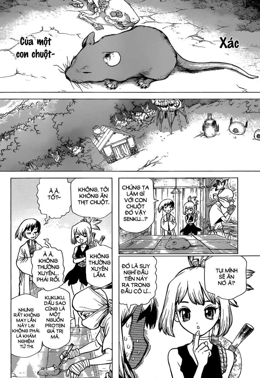 Dr.stone Chapter 41 - 5