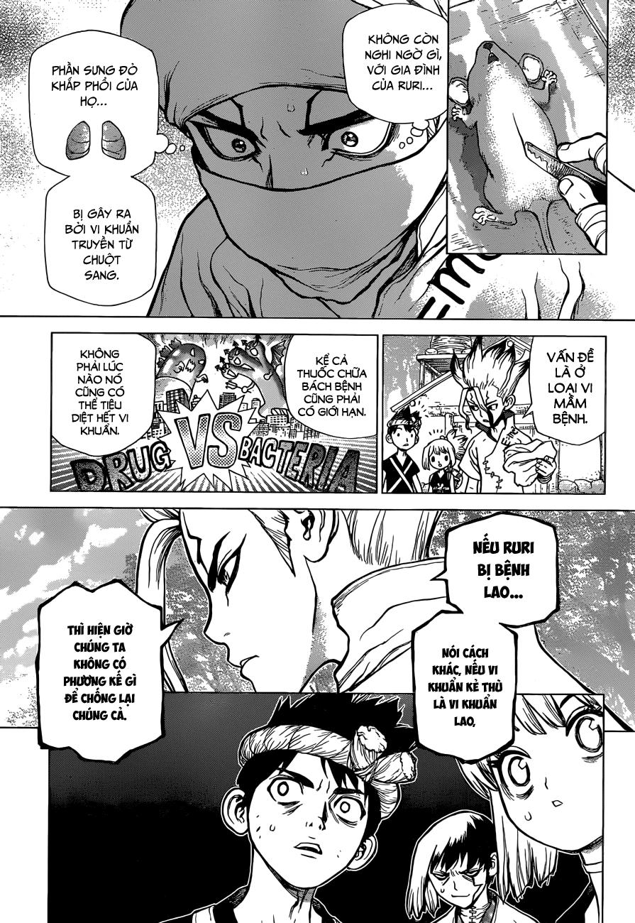 Dr.stone Chapter 41 - 6