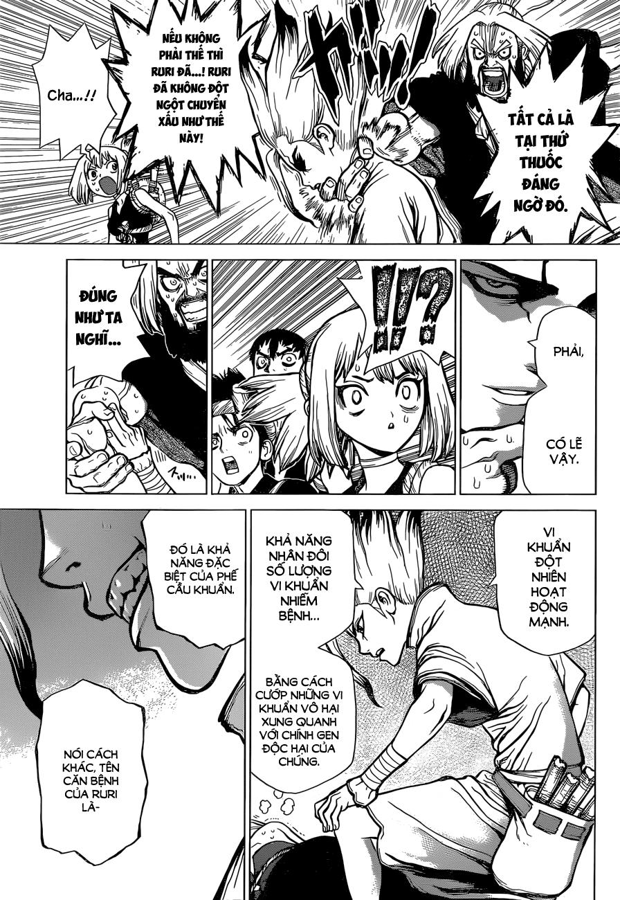 Dr.stone Chapter 41 - 10