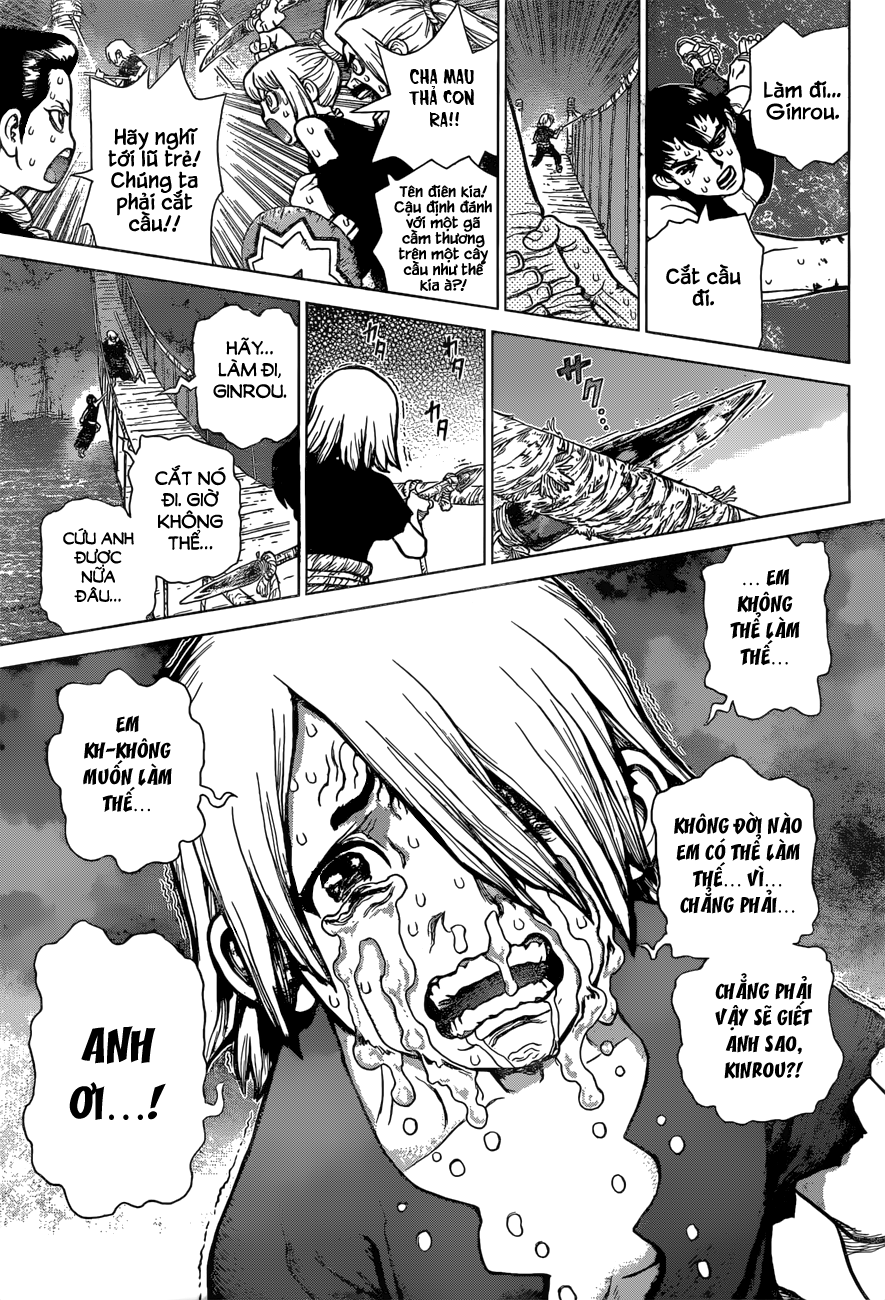 Dr.stone Chapter 46 - 13