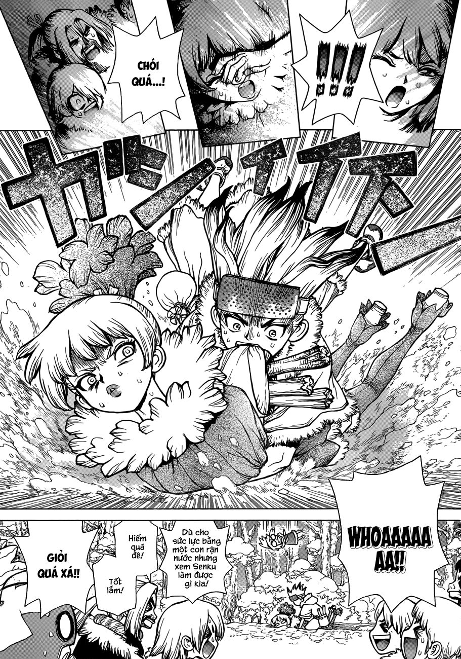 Dr.stone Chapter 62 - 12