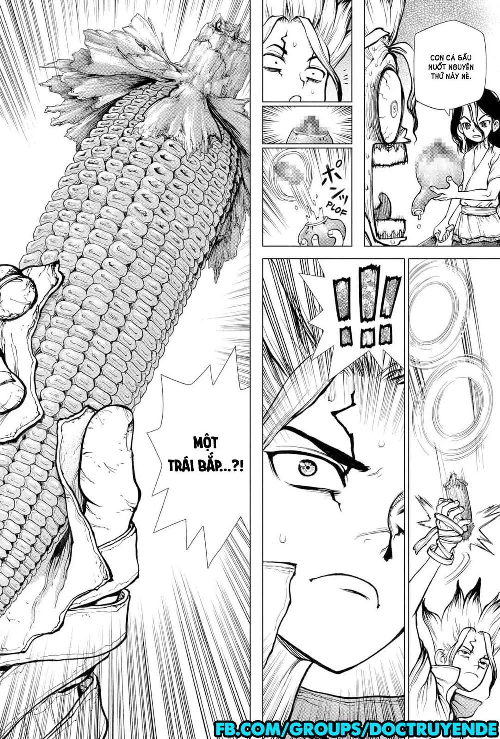 Dr.stone Chapter 148 - 20