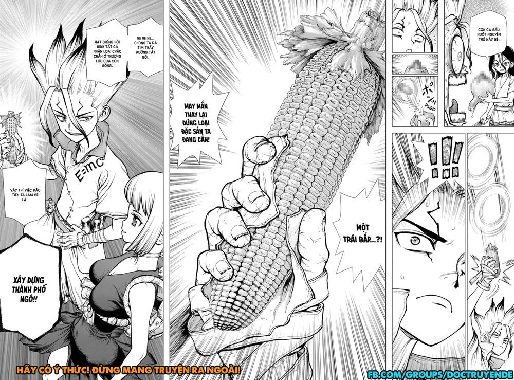 Dr.stone Chapter 148 - 22