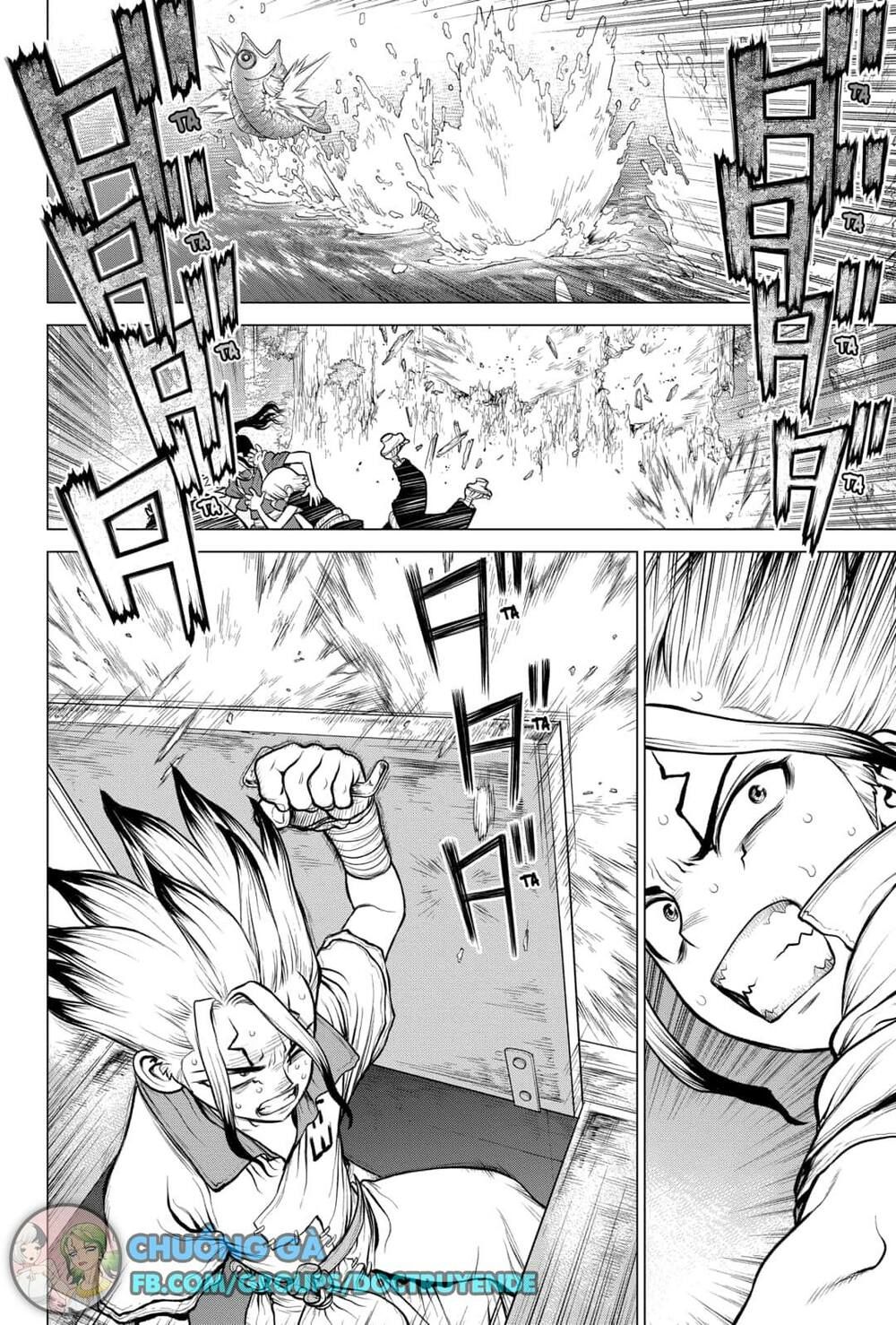 Dr.stone Chapter 149 - 12