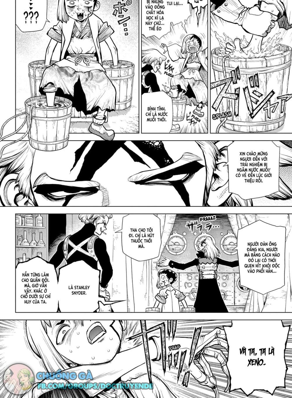 Dr.stone Chapter 151 - 8