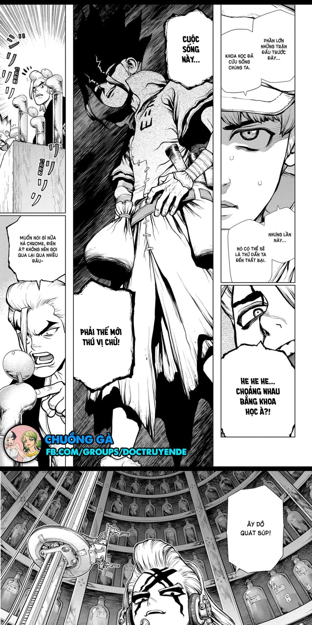 Dr.stone Chapter 152 - 5