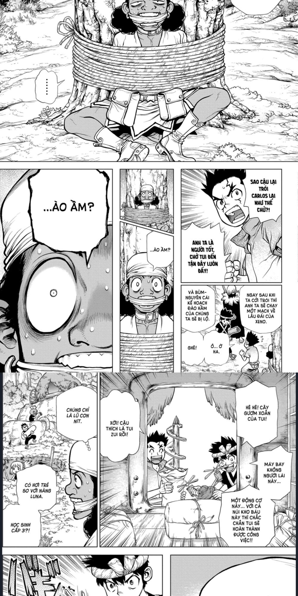 Dr.stone Chapter 162 - 12