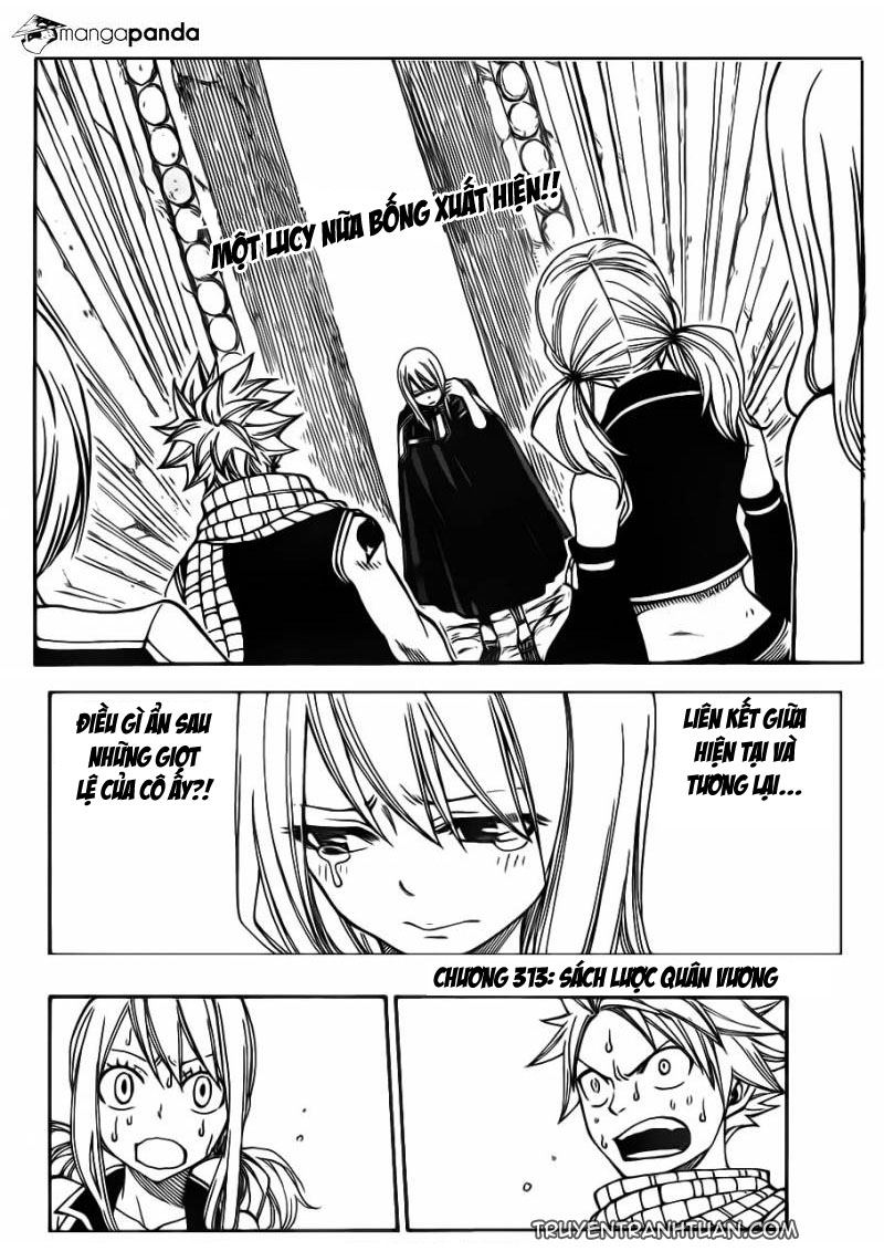 Fairy Tail Chapter 313 - 5