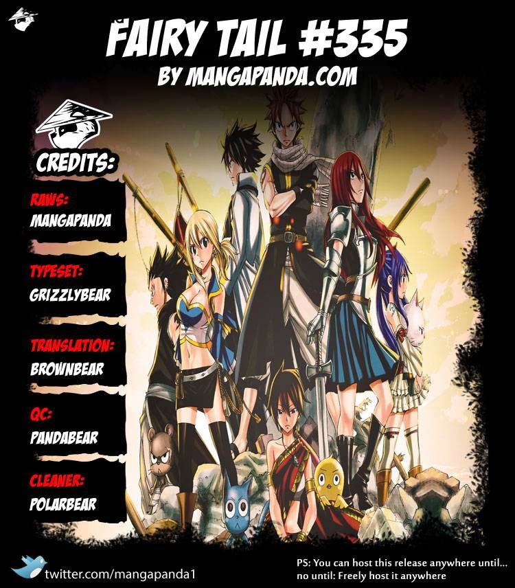 Fairy Tail Chapter 335 - 23