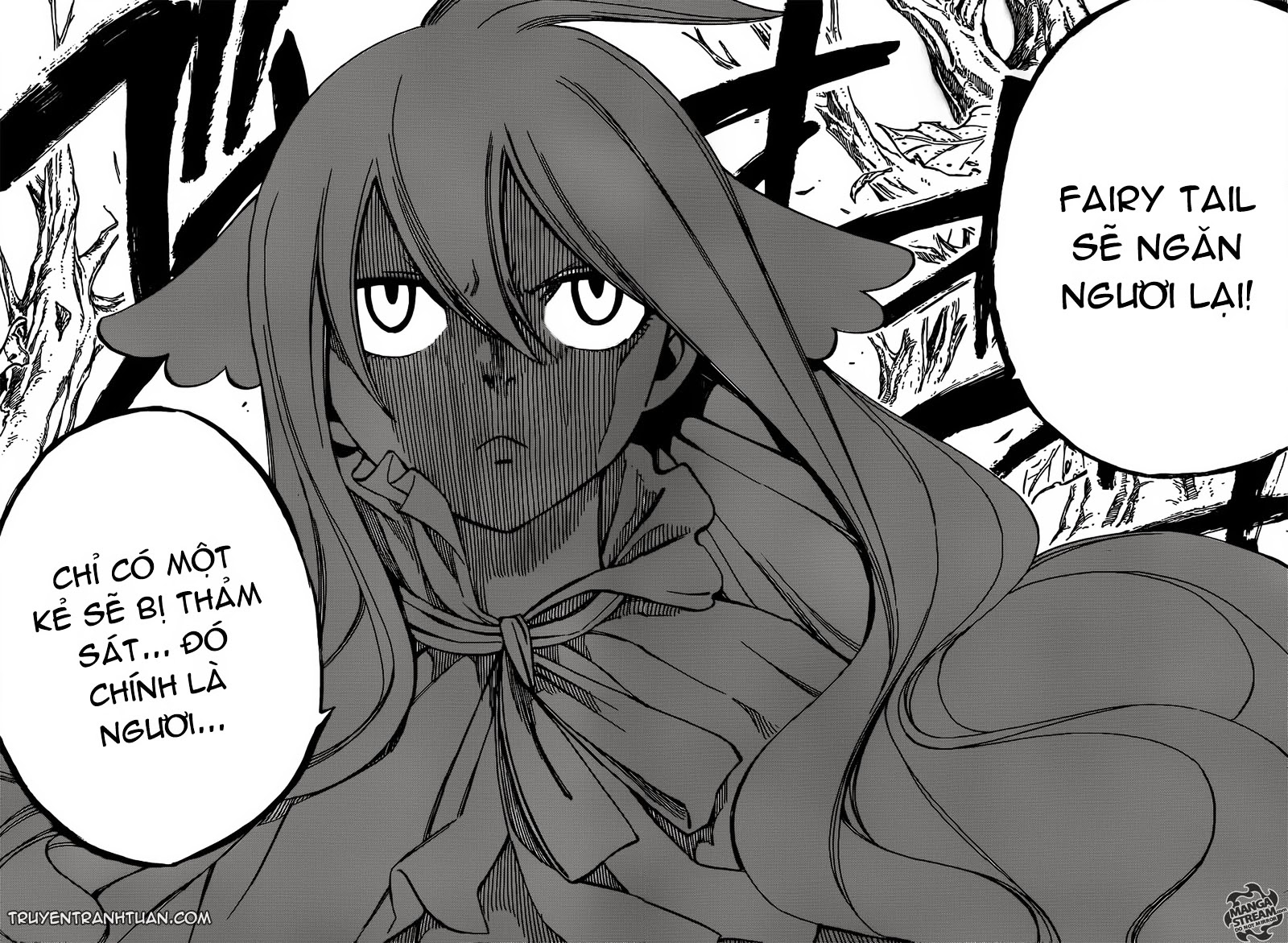 Fairy Tail Chapter 340 - 19