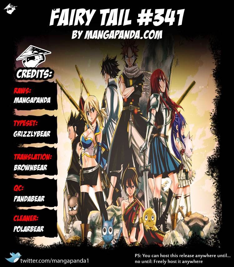 Fairy Tail Chapter 341 - 24