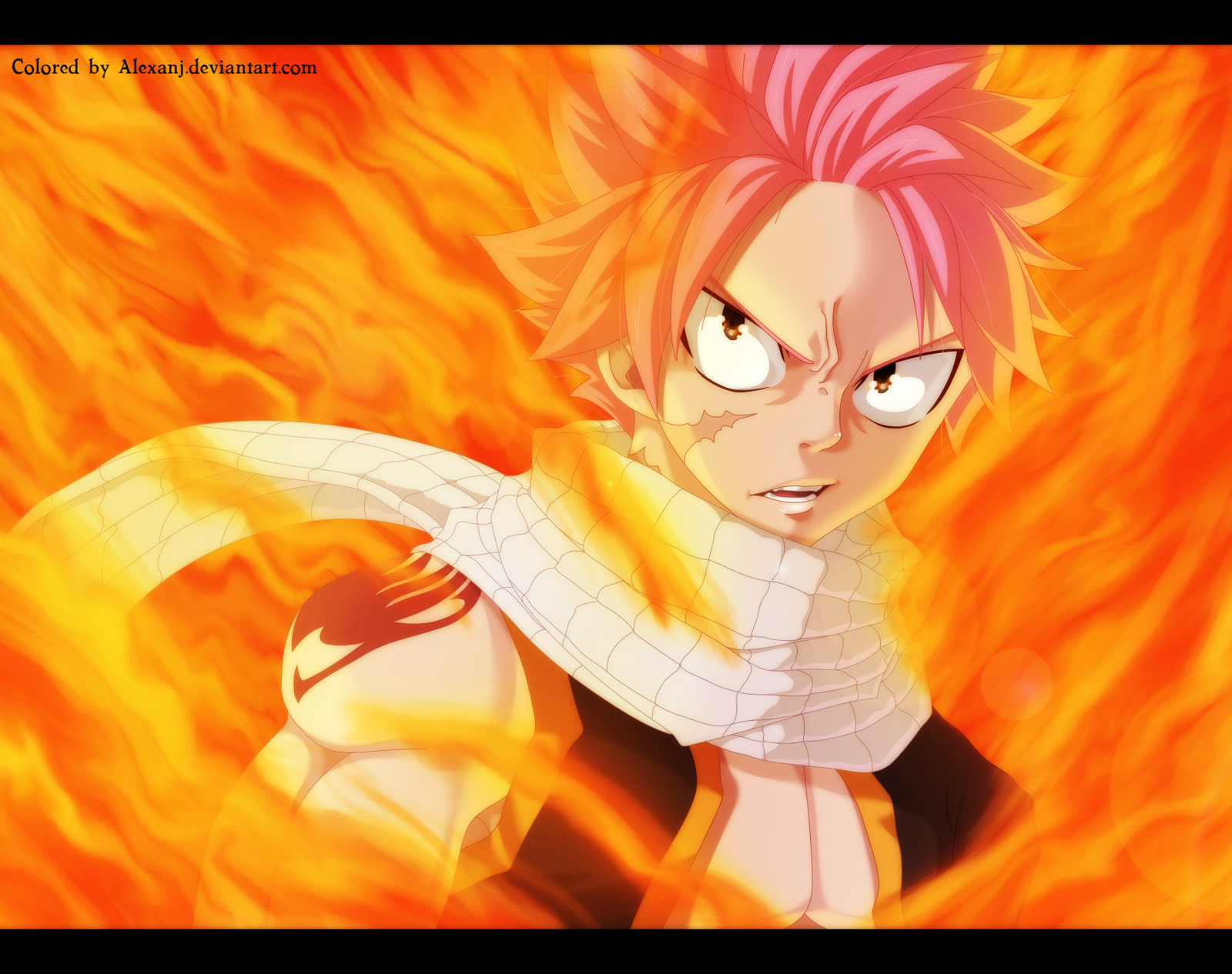 Fairy Tail Chapter 503 - 24