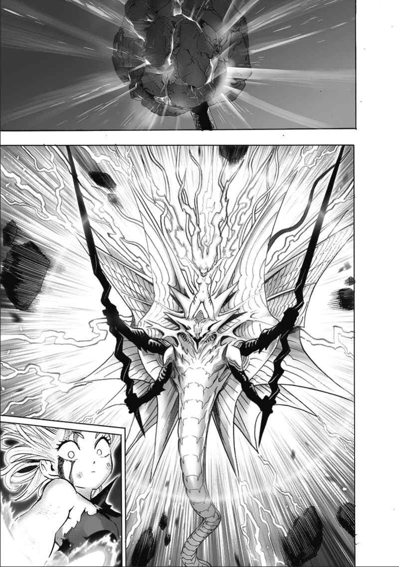 Onepunch Man Chapter 178 - 11