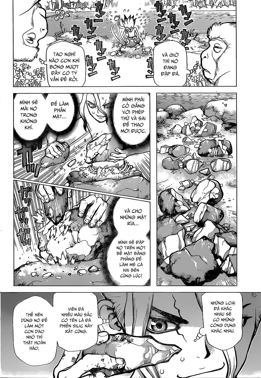 Dr.stone Chapter 13 - 12