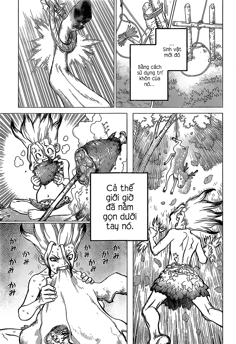 Dr.stone Chapter 13 - 17